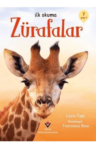 İlk Okuma Zürafalar