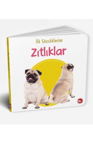 İlk Sözcüklerim - Zıtlıklar