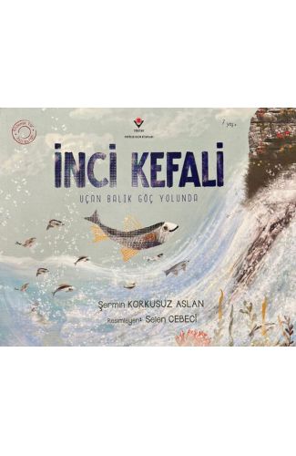 İnci Kefali