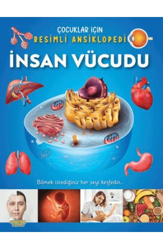 İnsan Vücudu - Çocuklar İçin Resimli Ansiklopedi