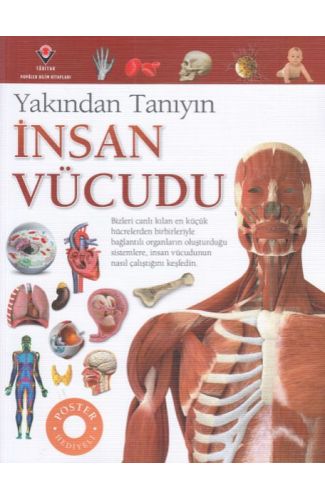 İnsan Vücudu - Yakından Tanıyın