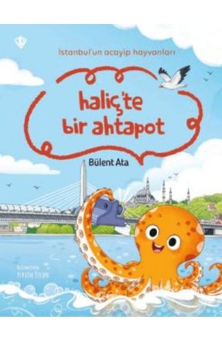 İstanbul'un Acayip Hayvanları Haliçte Bir Ahtapot