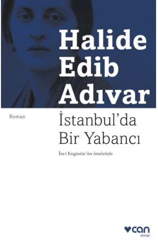 İstanbulda Bir Yabancı