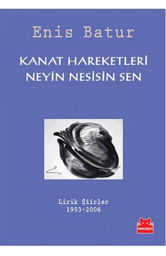 Kanat Hareketleri - Neyin Nesisin Sen  Lirik Şiirler 1993-2006