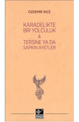 Kara Delikte Bir Yolculuk ve Tersine ya da Sapkın Ayetler