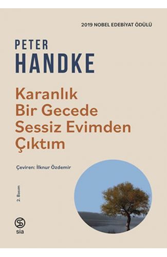 Karanlık Bir Gecede Sessiz Evimden Çıktım