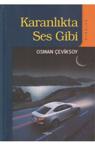 Karanlıkta Ses Gibi
