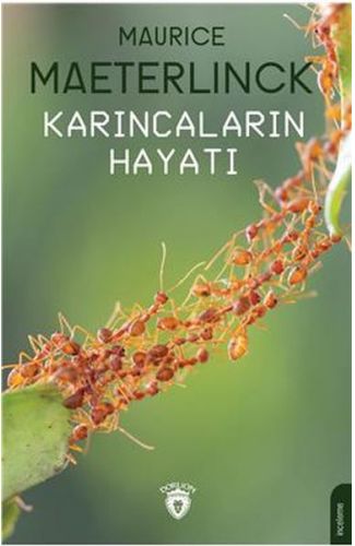 Karıncaların Hayatı