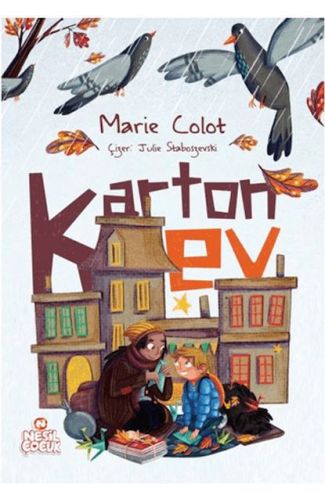 Karton Ev
