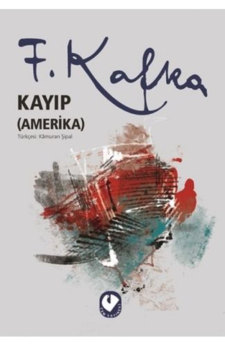 Kayıp (Amerika)