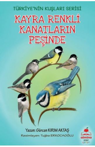 Kayra Renkli Kanatların Peşinde Türkiye'nin