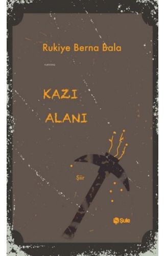 Kazı Alanı