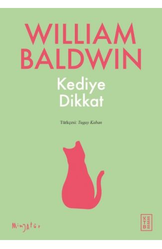 Kediye Dikkat