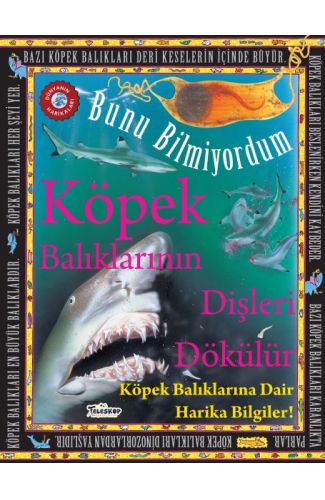 Köpek Balıklarının Dişleri Dökülür - Bunu Bilmiyordum - Köpek Balıklarına Dair Harika Bilgiler!