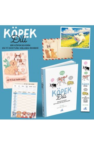 Köpek Dili - Bir Köpekseverin En İyi Dostunu Anlama Rehberi