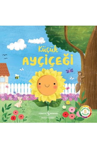 Küçük Ayçiçeği