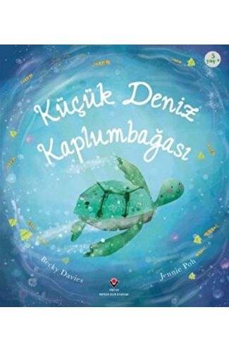 Küçük Deniz Kaplumbağası