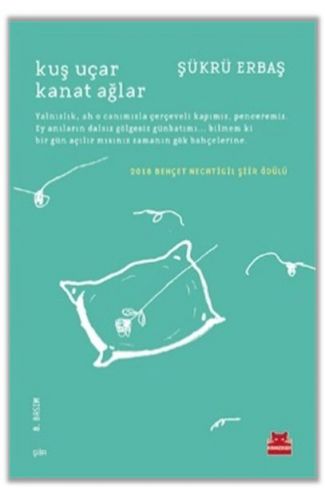 Kuş Uçar Kanat Ağlar