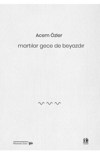 Martılar Gece de Beyazdır