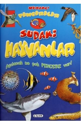 Meraklı Pencereler Sudaki Hayvanlar