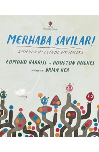 Merhaba Sayılar ! Saymanın Ötesinde Bir Macera