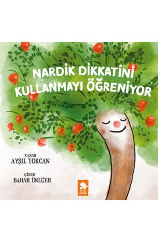 Nardik Dikkatini Kullanmayı Öğreniyor