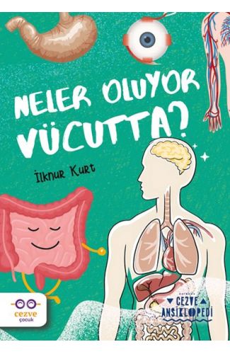 Neler Oluyor Vücutta ? – Cezve Ansiklopedi