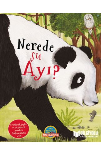 Nerede Şu Ayı ?