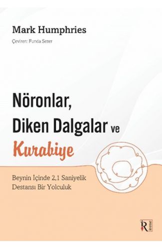 Nöronlar, Diken Dalgalar ve Kurabiye