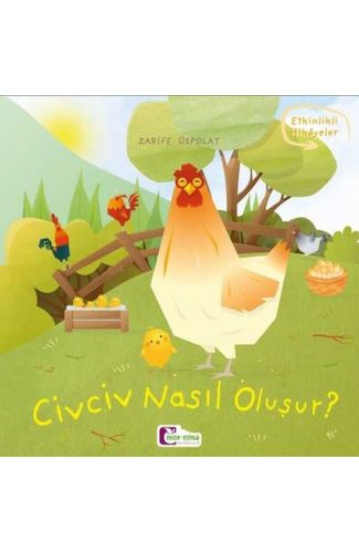 Oluşum Hikayeleri - Civciv nasıl oluşur?