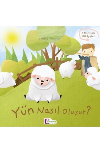 Oluşum Hikayeleri - Yün nasıl oluşur?