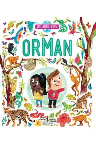 Orman - Çevremizdeki Dünya