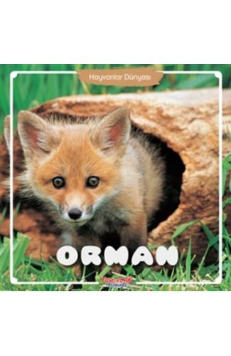 Orman - Hayvanlar Dünyası