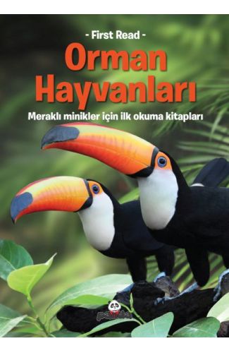 Orman Hayvanları