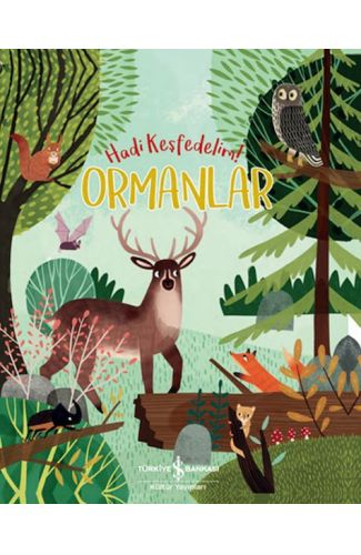 Ormanlar - Hadi Keşfedelim!