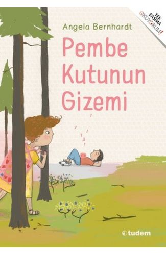 Pembe Kutunun Gizemi