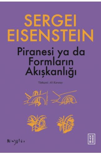 Piranesi ya da Formların Akışkanlığı