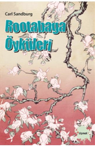 Rootabaga Öyküleri