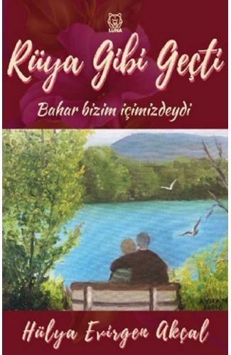 Rüya Gibi Geçti
