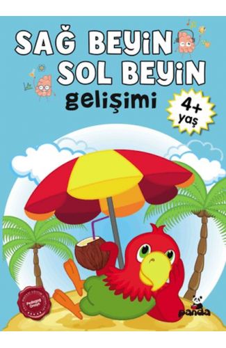 Sağ Beyin-Sol Beyin Gelişimi 4+ Yaş    