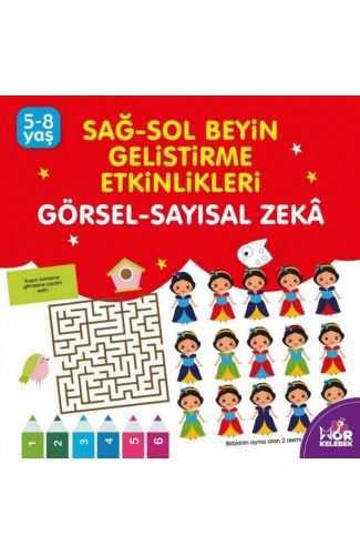Sağ-Sol Beyin Geliştirme Etkinlikleri - Görsel-Sayısal Zeka