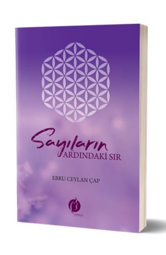 Sayıların Ardındaki Sır