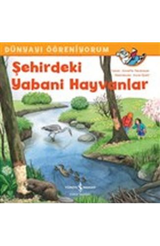Şehirdeki Yabani Hayvanlar - Dünyayı Öğreniyorum