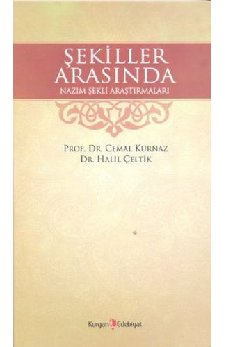 Şekiller Arasında Nazım Şekli Araştırmaları