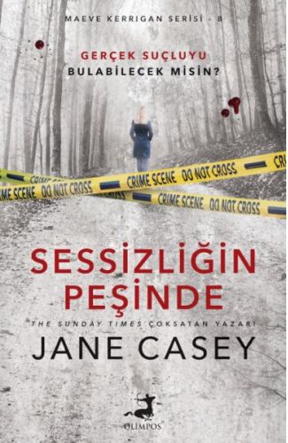Sessizliğin Peşinde