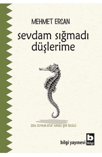 Sevdam Sığmadı Düşlerime