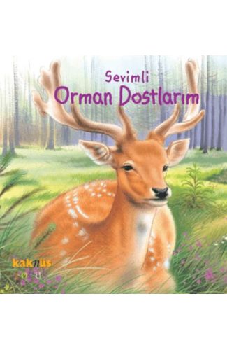 Sevimli Orman Dostlarım