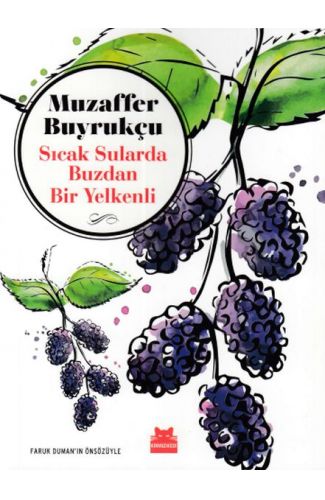 Sıcak Sularda Buzdan Bir Yelkenli