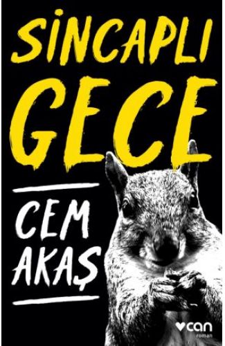 Sincaplı Gece