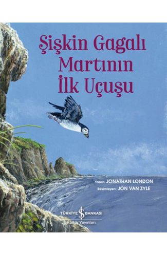 Şişkin Gagalı Martının İlk Uçuşu